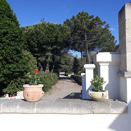 مارتينا فرانكا B&B Trulli E Mare المظهر الخارجي الصورة